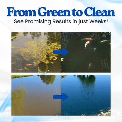 VOIZLORE® Aqua-Guardian Pro Formula– End Algae Nightmares, Restore Your Pond’s Beauty Fast!